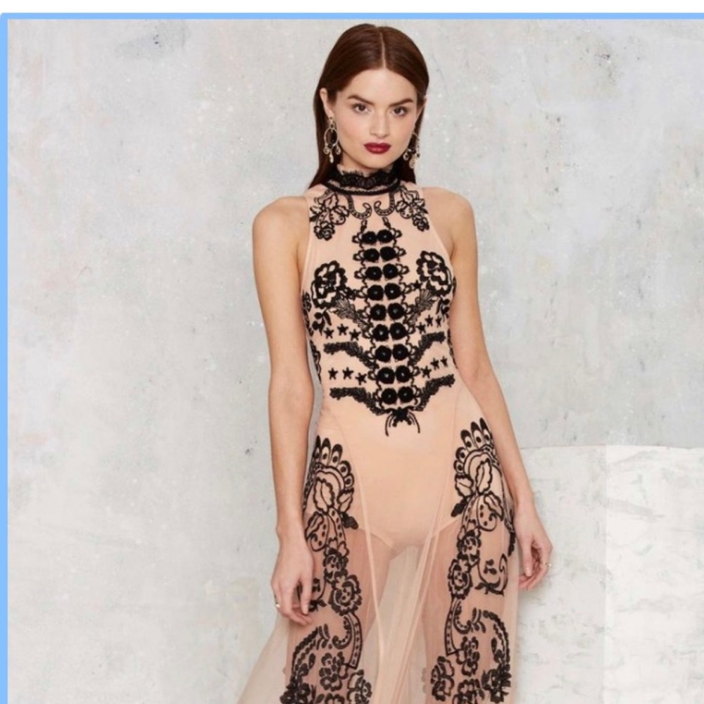 Sheer Gown - image 1